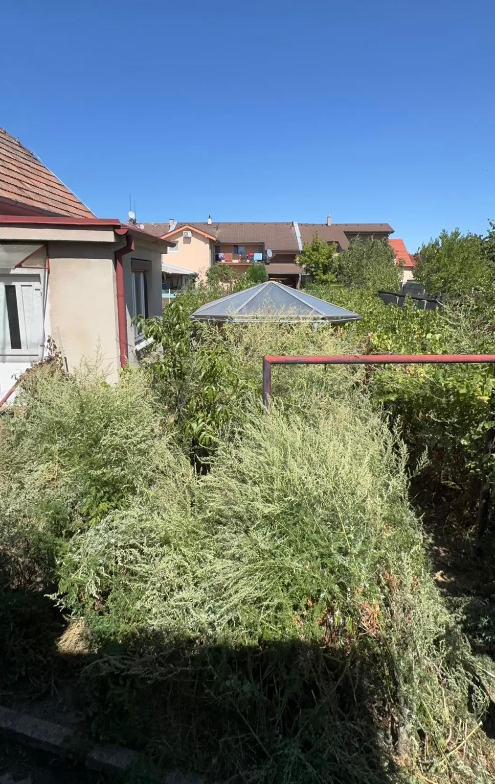 Čistenie pozemku a trhanie koreňov (Časť 1) — pred realizáciou